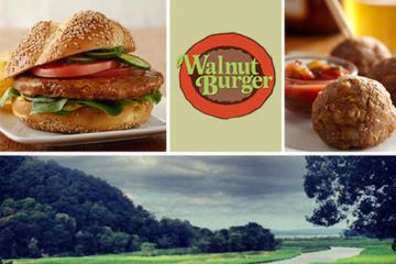 Walnut Burger Patties 