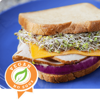 FoodforLife Brown Rice Bread Frozen