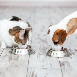 Quail Pet Formula 