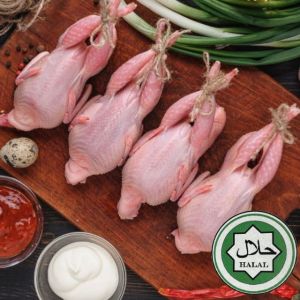 Quail Halal Certified (4) - 5 oz