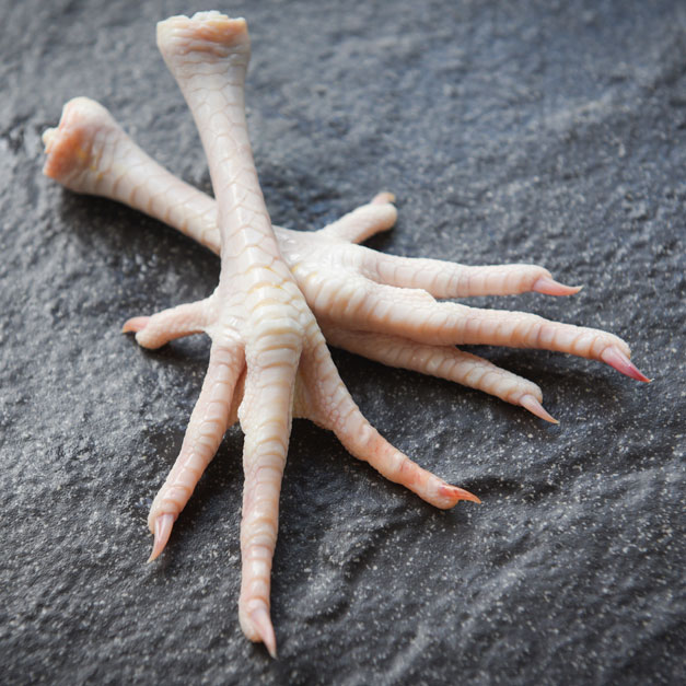 Organ Meats & Bones